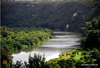 JungleTour