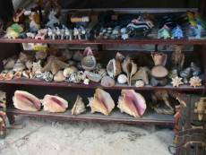 forbidden souvenirs