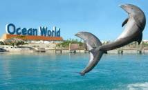 Ocean World Adventure Park