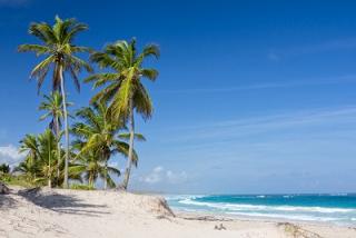 punta cana best period