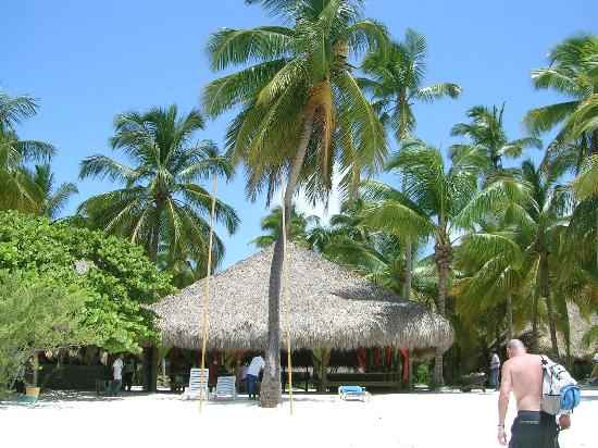 saona boat excursion